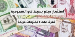 استثمار مبلغ بسيط : 8 طرق استثمار مبلغ بسيط في السعودية 2023