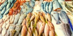 دراسة جدوى مشروع محل سمك 2023 – اسرار تجارة الاسماك
